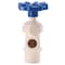 Kbi Homewerks 1/2 in. X 3/4 in. CTS x MHT CPVC Boiler Drain Valve VBDCPVE3B - alternate 3